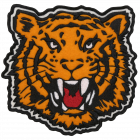 PM413 TIGER PATCH