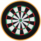 PS117 DARTBOARD PATCH