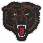 PM418 BEAR HEAD PATCH