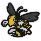 PM415 BEE PATCH